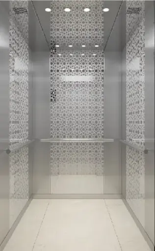 ARL-C012 مصعد فضي ستانليس ستيل مع نقش على كل الجوانب 